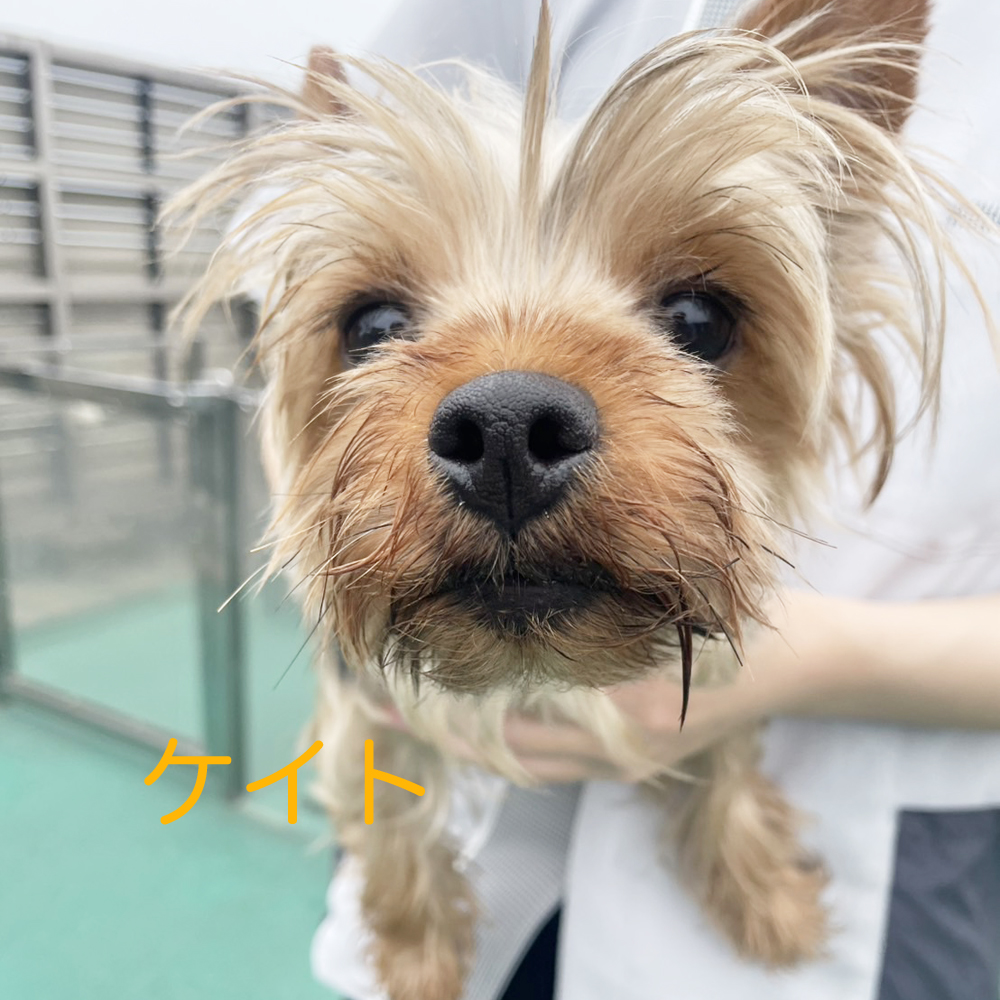 kBeʐ^@